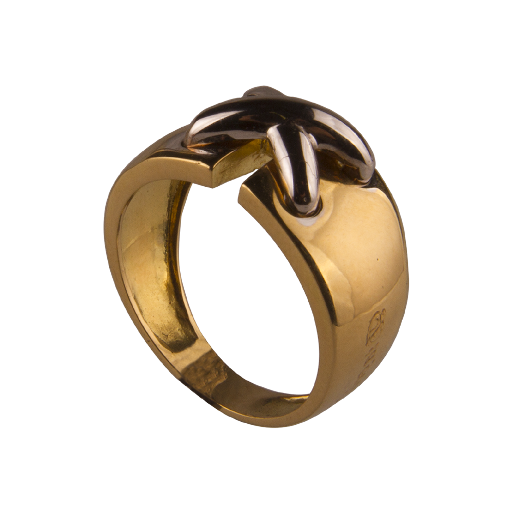 BAGUE - 27122017-3